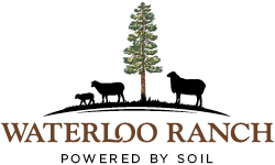 Waterloo Ranch Logo